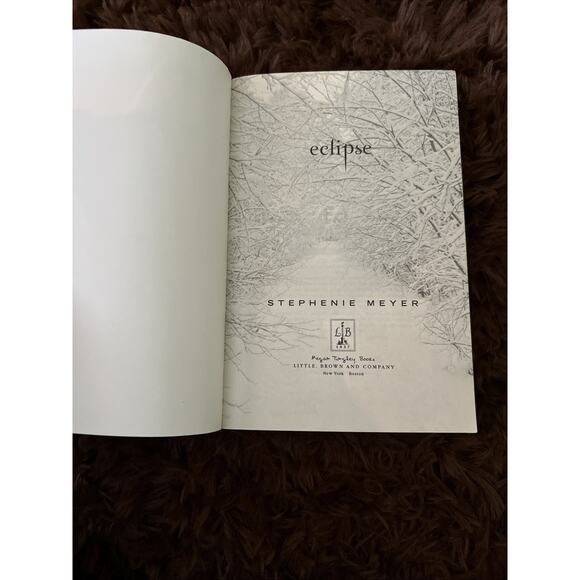 Lot of 2 Twilight Books Eclipse and Breaking Dawn by Stephanie Meyer - Picture 6 of 16